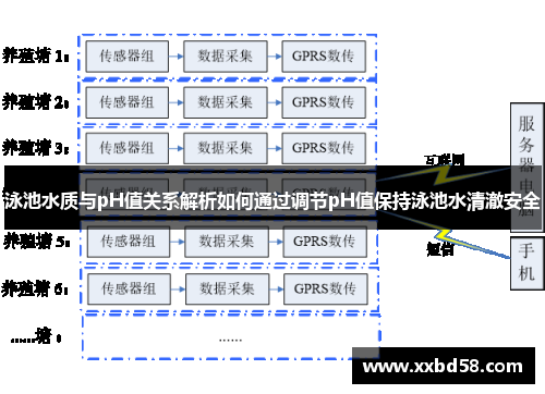 泳池水质与pH值关系解析如何通过调节pH值保持泳池水清澈安全